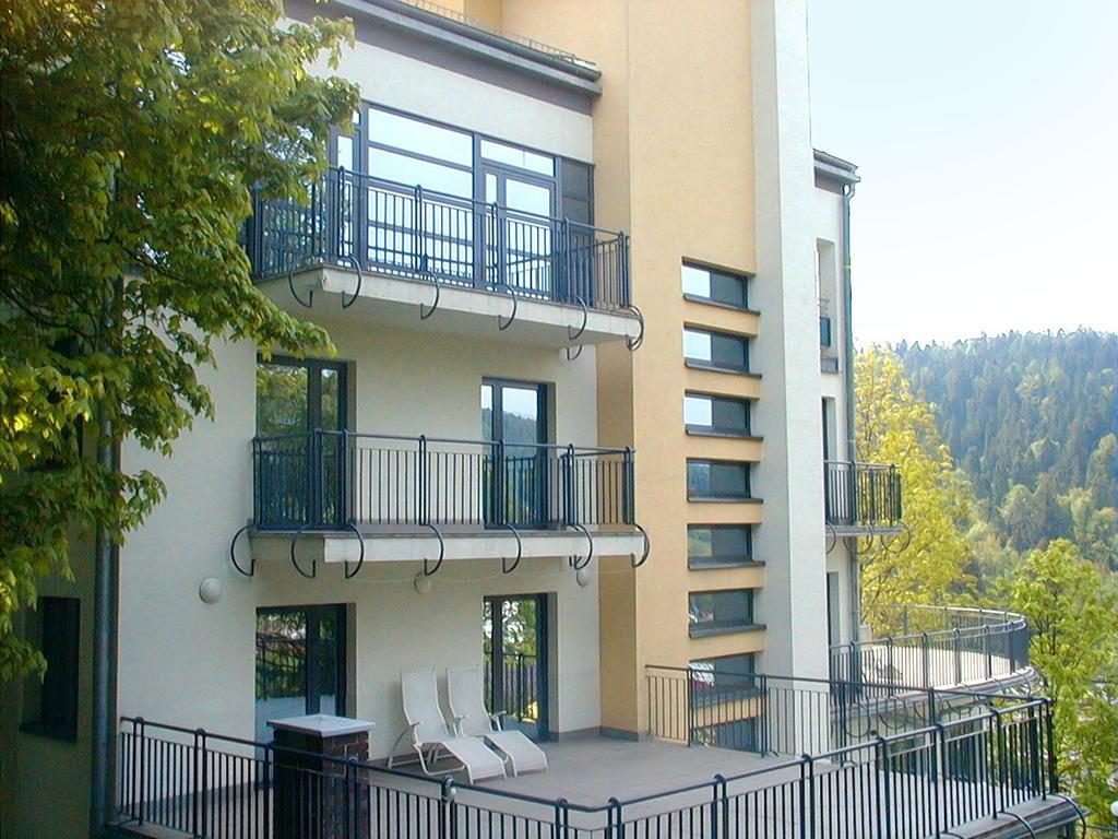 Farys - Swietna Lokalizacja, Sauna, Jacuzzi, Piekne Widoki Z Okien Krynica Zdroj Buitenkant foto